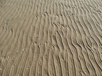 Full frame shot of sandy beach