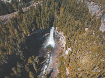 High angle view of waterfall in forest