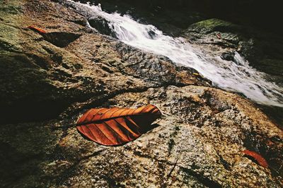 High angle view of sunlight falling on rock