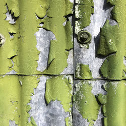 Full frame shot of peeling green paint from corrugated iron