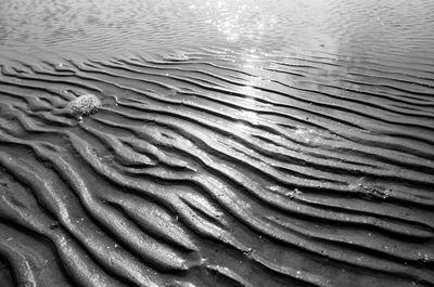 Full frame shot of wet sand