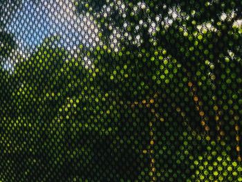 Full frame shot of metal grate