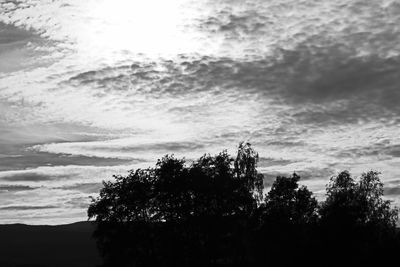 Silhouette of trees against sky