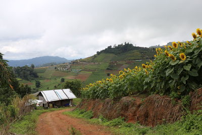 Scenic view of landscape against sky