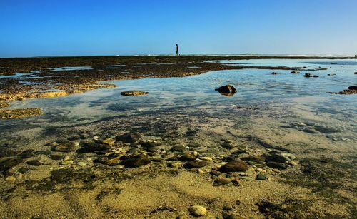 Scenic view of sea against clear sky