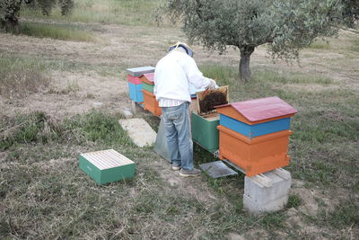 Rear view of beekeeper examining honeycomb while standing on field