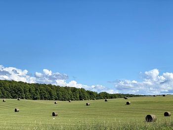 Hay bales on field against sky