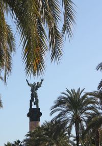 Low angle view of palm trees