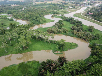 High angle view of river amidst trees