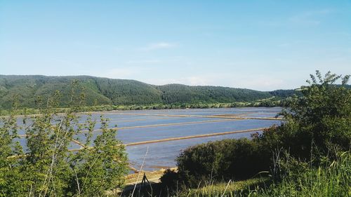 Scenic view of lake by field against sky