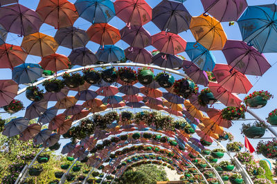 Low angle view of plants against sky