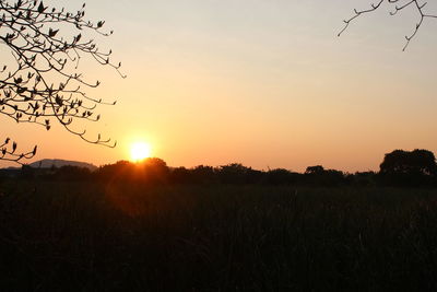 Scenic view of silhouette field against sky during sunset