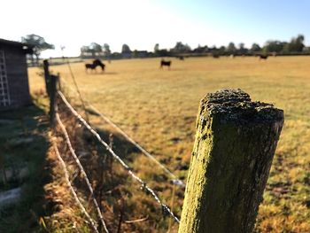 Close-up of wooden post on field against sky