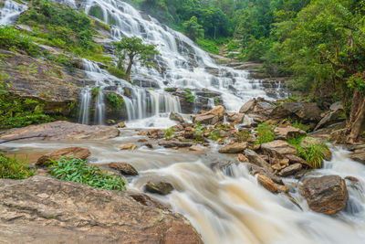 Scenic view of waterfall in forest