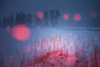 An artistic winter scene with red snow with artificial light.