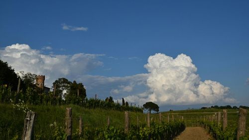 Scenic view of field against cloudy sky