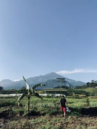 Rear view of man walking on field against clear blue sky