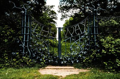 Metal gate on field in park