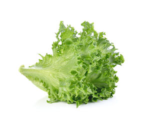 Close-up of vegetable over white background