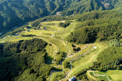 High angle view of road amidst trees