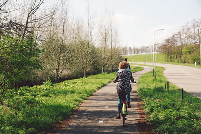 Rear view of people riding bicycle on road during sunny day