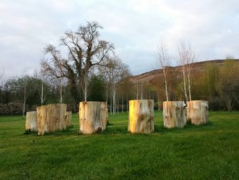 Scenic view of grassy field against cloudy sky