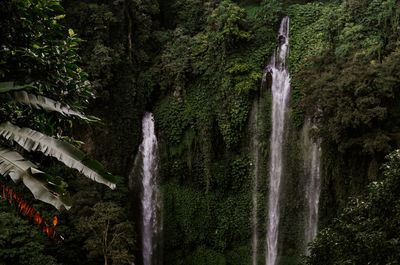 Low angle view of waterfall in forest