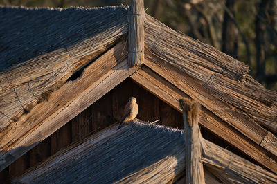 Low angle view of wooden wall