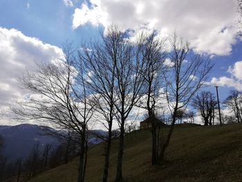 Bare trees on field against sky