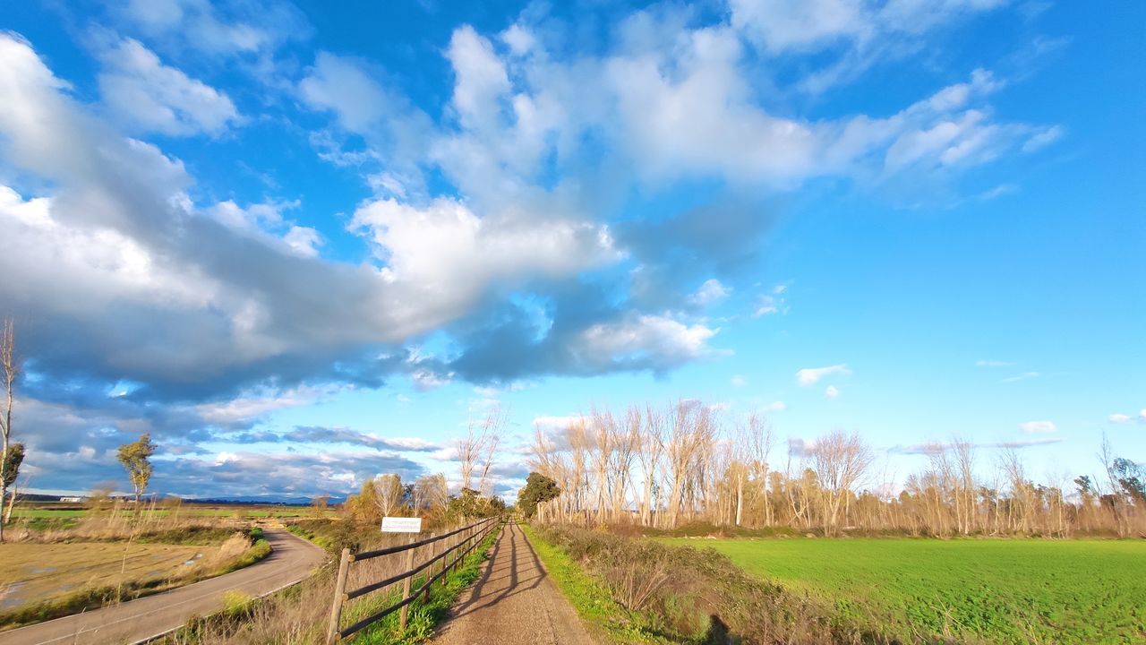 landscape, sky, cloud, environment, field, rural scene, land, nature, scenics - nature, agriculture, plant, horizon, rural area, blue, beauty in nature, panoramic, farm, prairie, road, grass, crop, meadow, tree, hill, grassland, no people, travel, tranquility, cloudscape, outdoors, plain, footpath, sunlight, tranquil scene, cereal plant, transportation, summer, horizon over land, non-urban scene, dirt road, dirt, environmental conservation, travel destinations, urban skyline, day, social issues, food and drink, springtime, food, fence, morning, architecture, green, idyllic, growth, landscaped
