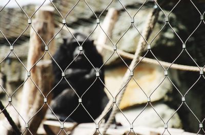 Full frame shot of chainlink fence