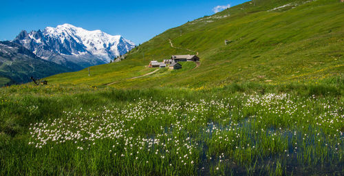 Charamillon in chamonix in haute savoie in france