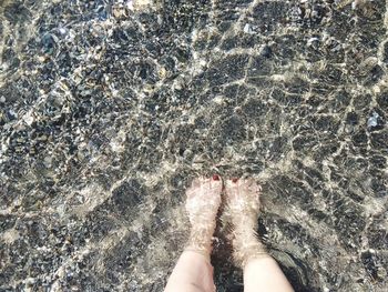 Low section of person standing on beach