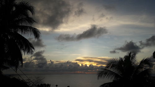 Silhouette palm trees by sea against sky during sunset