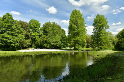 Scenic view of lake by trees against sky