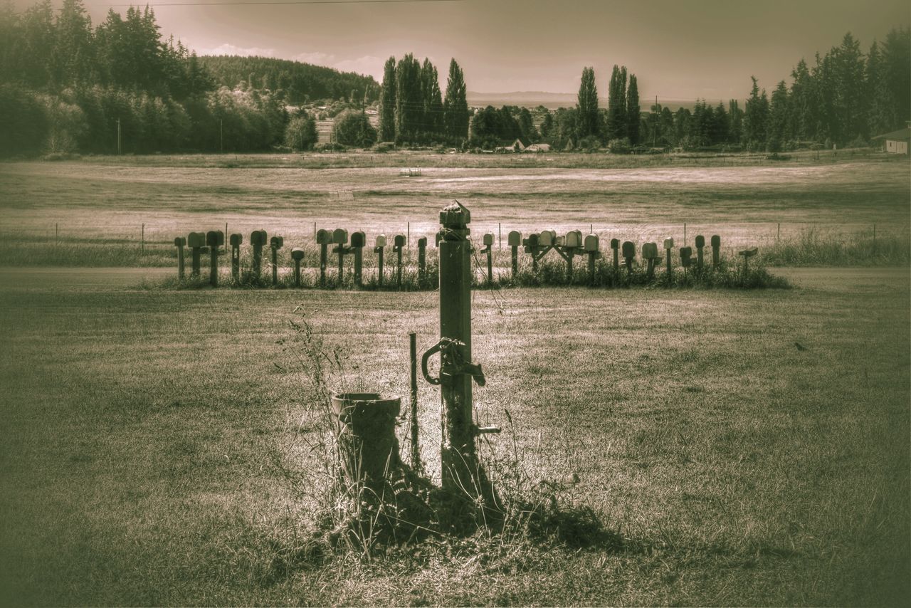 field, grass, landscape, tranquility, tranquil scene, fence, rural scene, tree, nature, grassy, scenics, sky, beauty in nature, growth, no people, outdoors, agriculture, wood - material, wooden post, farm