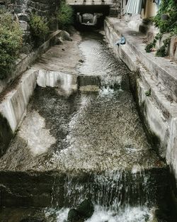 River amidst trees