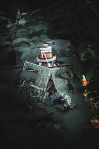 High angle view of food on field at night