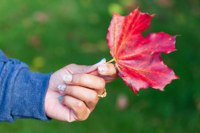 Close-up of hand holding autumn leaf