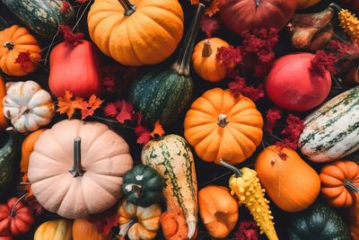 High angle view of pumpkins for sale