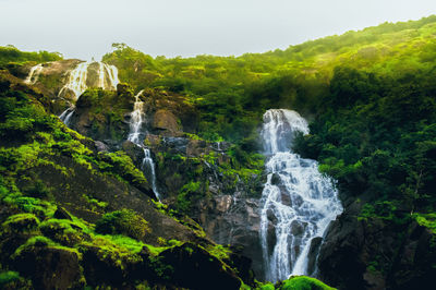 Waterfall in forest