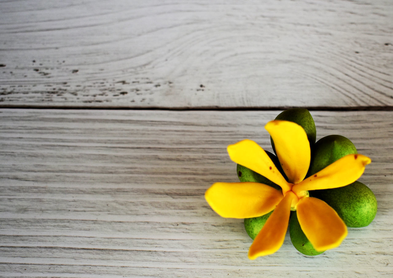 HIGH ANGLE VIEW OF YELLOW FLOWER ON WOODEN TABLE