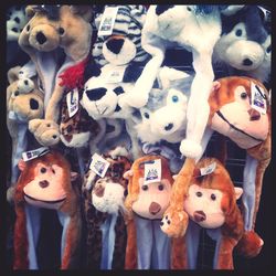 animal themes