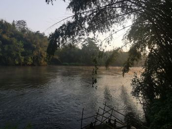Scenic view of lake in forest against sky