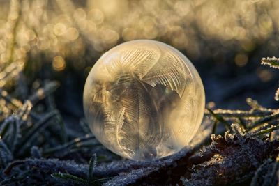 Close-up of frozen soap bubble