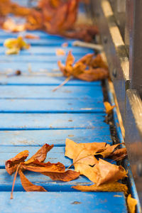 Close-up of dry autumn leaves on wood