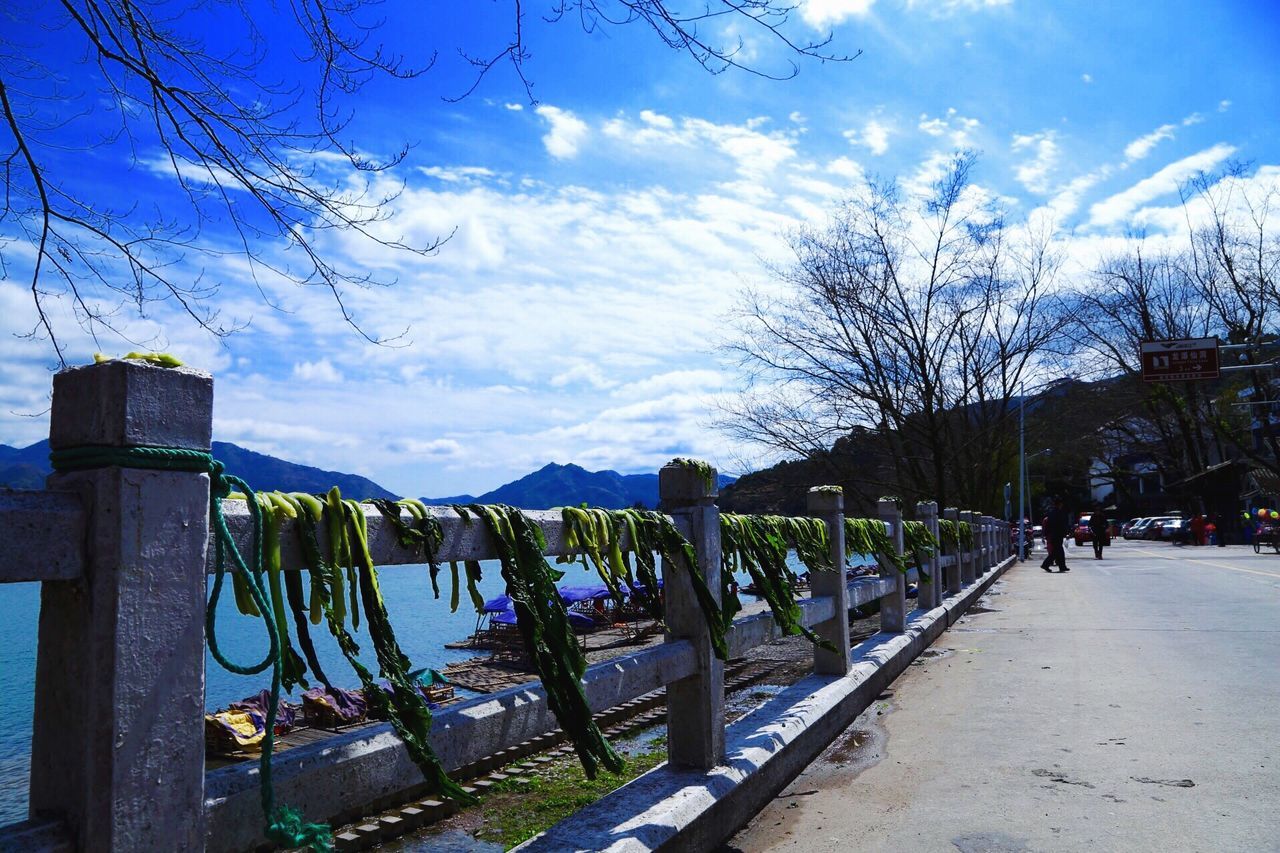 sky, tree, cloud - sky, cloud, bare tree, tranquility, blue, railing, fence, water, tranquil scene, nature, scenics, bench, mountain, day, lake, beauty in nature, park - man made space, outdoors