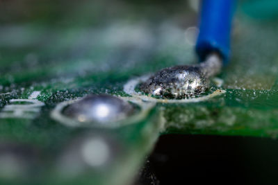 Close-up of water drops on rock