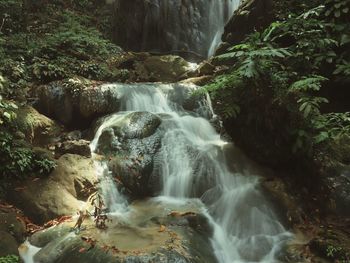 Scenic view of waterfall in forest