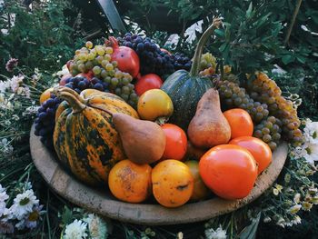 Fruits in container